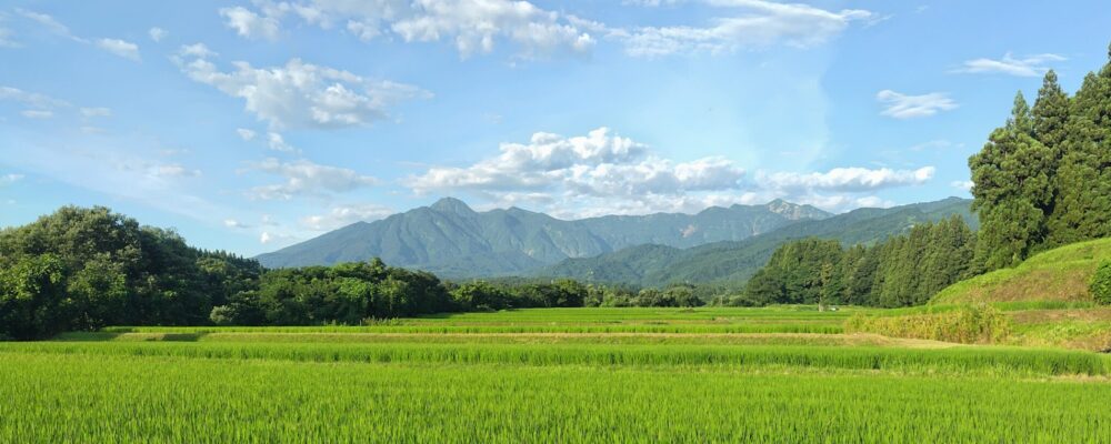 矢代農家　山崎農園