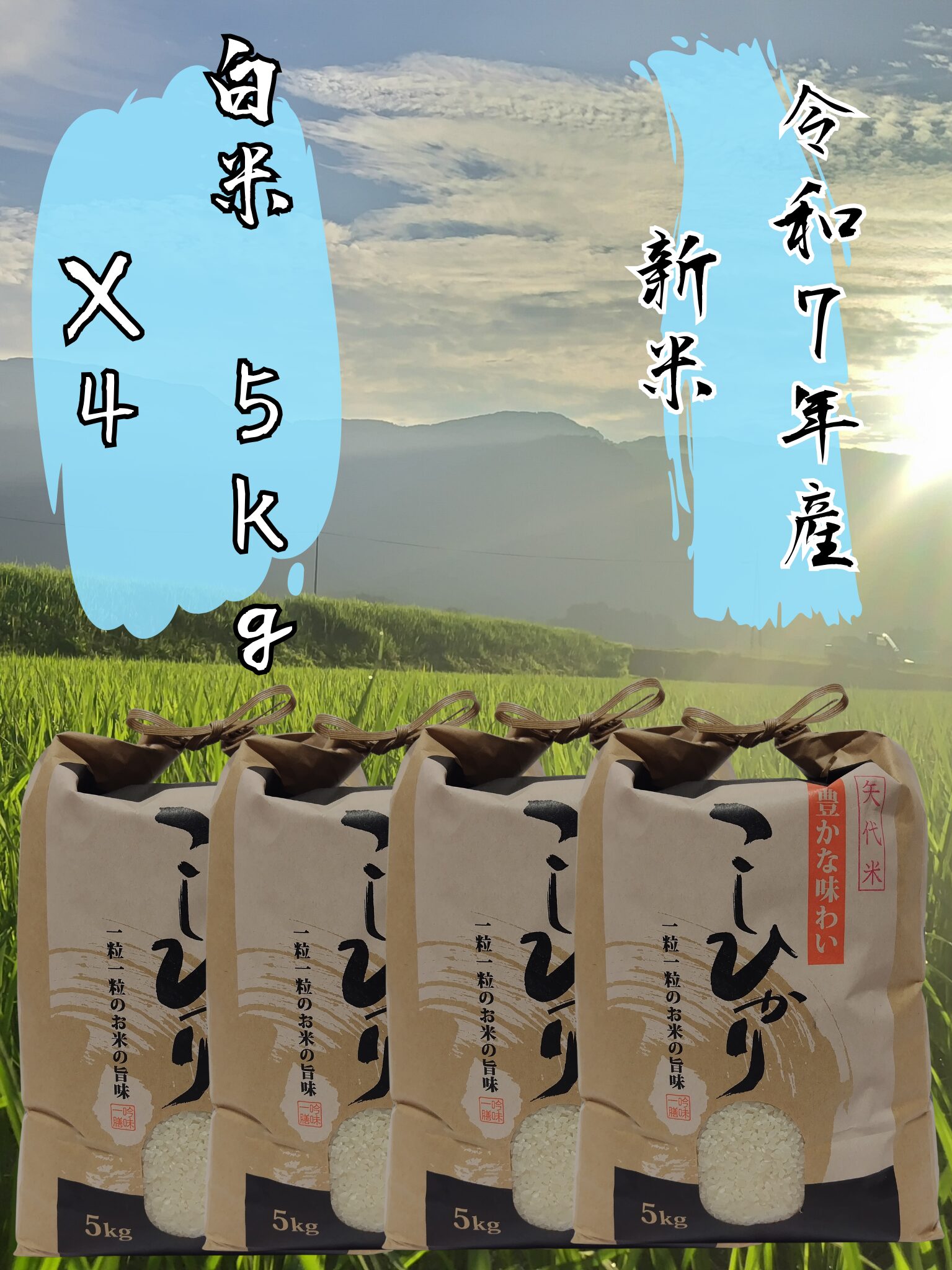 令和7年産 新潟県 妙高市 矢代産 コシヒカリ 白米5kg×4 矢代米 