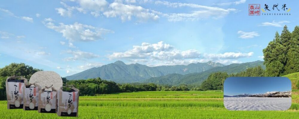 矢代農家　山﨑農園-アグリ矢代-